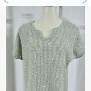 Blu Pepper Textured Gray Blouse